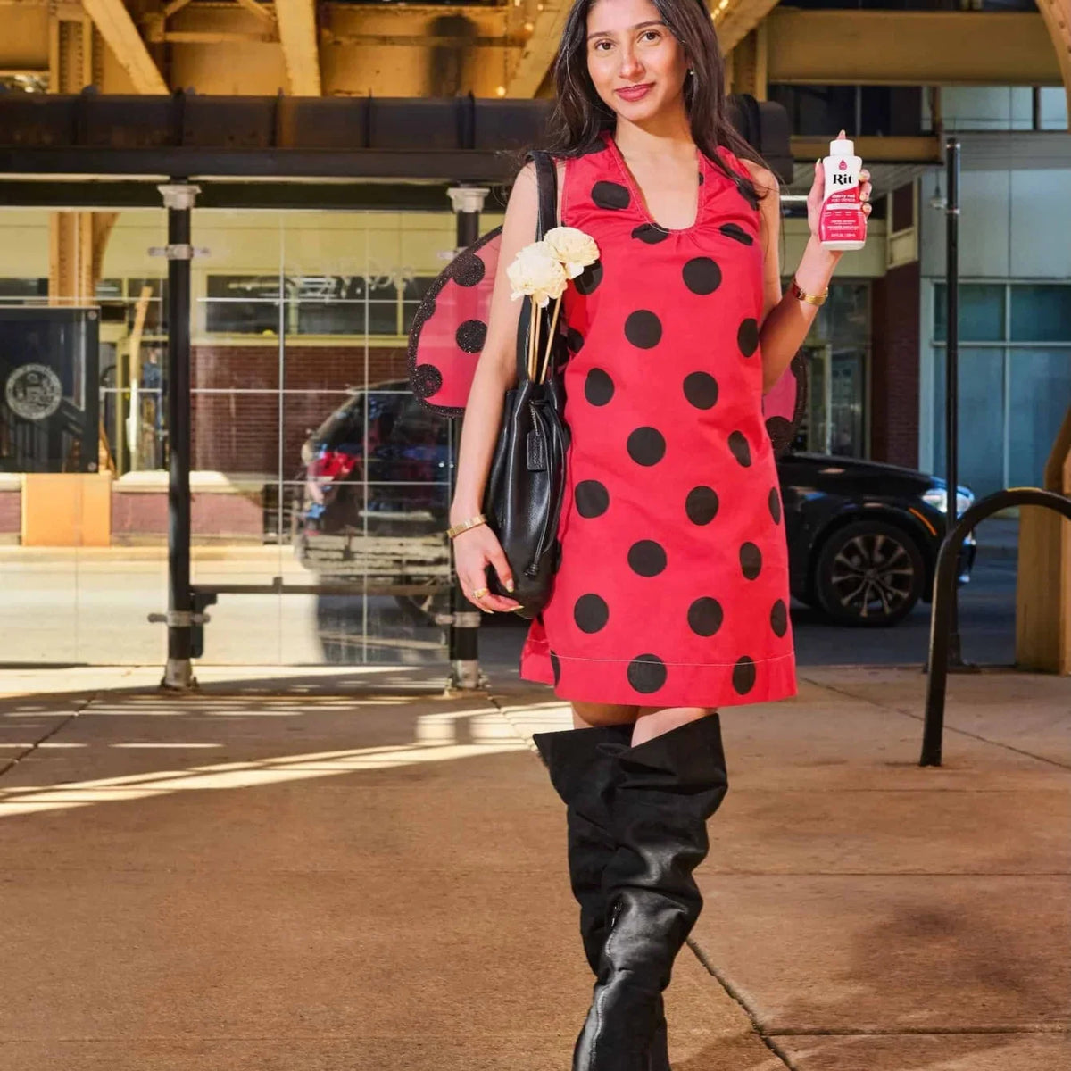 Lady Bug Costume
