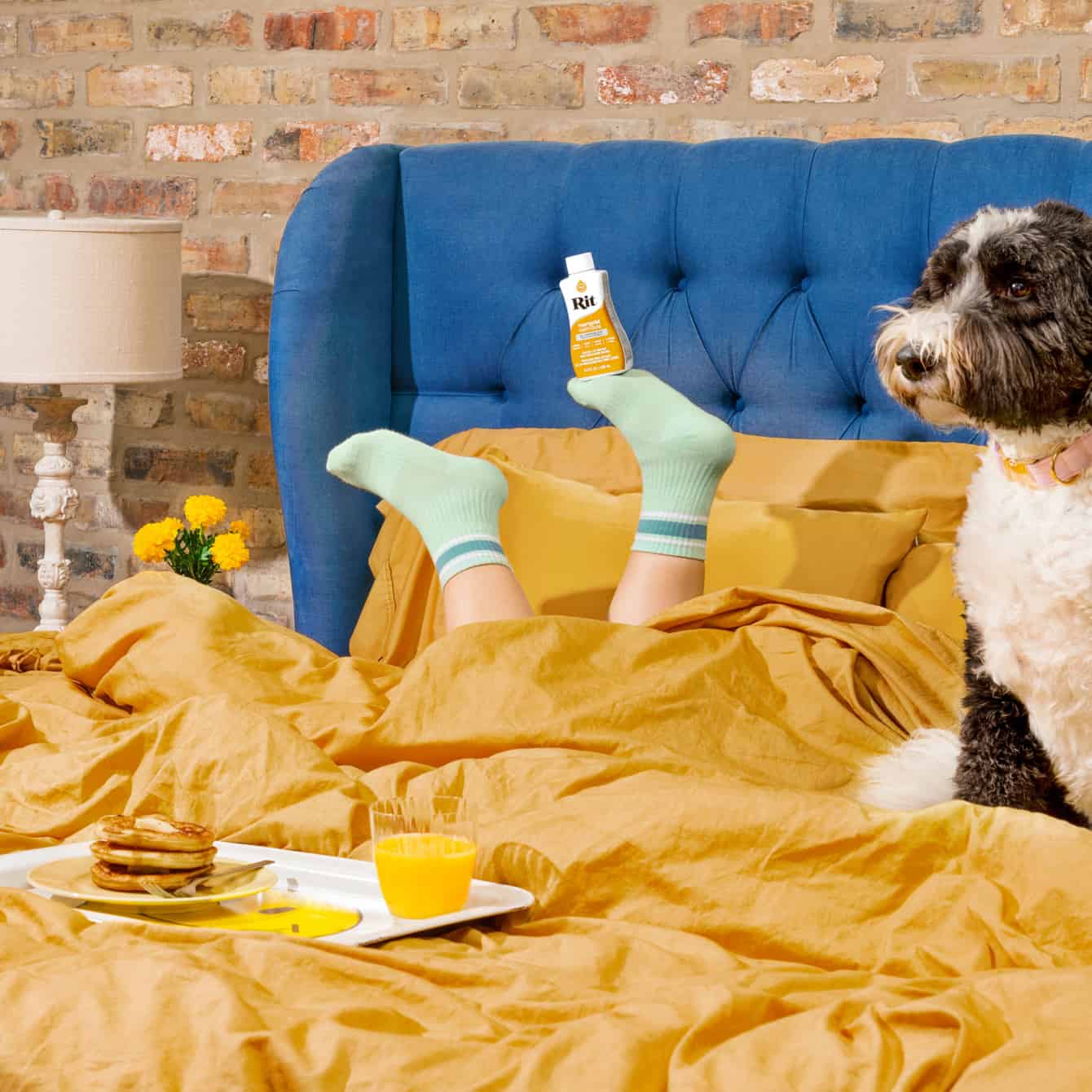 01_Marigold_Sheets-scaled-1340x1340.jpg