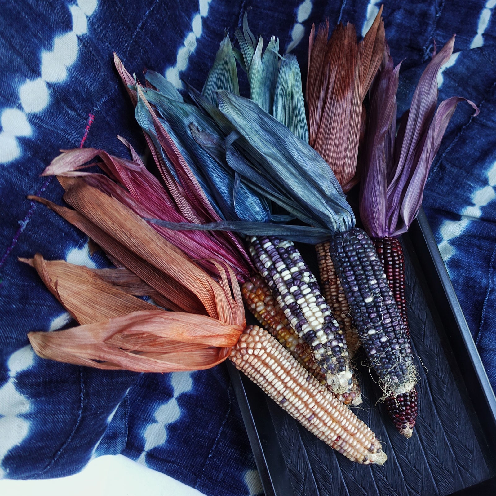 Cocoa Brown All-Purpose Powder Dye